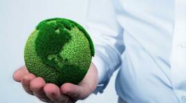 Timeline: Seguridad medioambiental