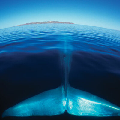 Timeline: Ocean Exploration