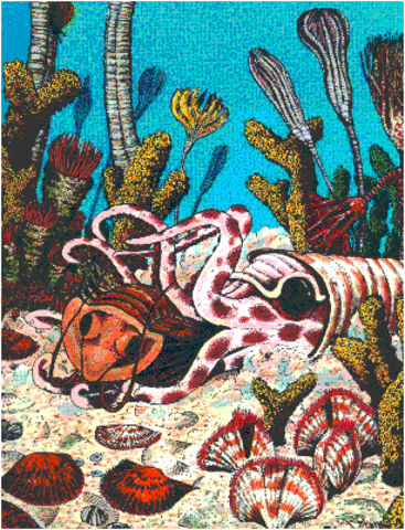 Ordovician Period 500 MYA to 435 MYA.