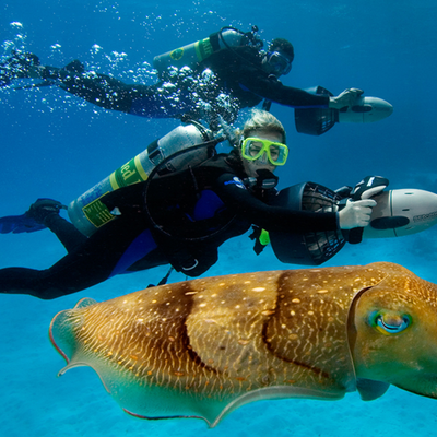 Timeline: Ocean Exploration