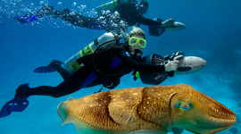 Timeline: Ocean Exploration