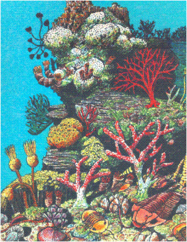 Silurian Period. 435 M- 395M