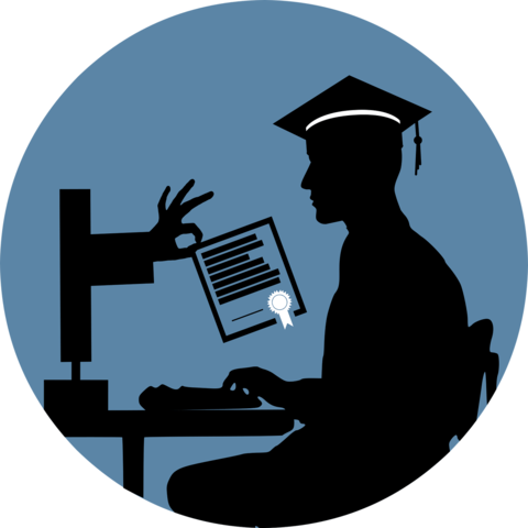 MOOC (Massive Open Online Course)