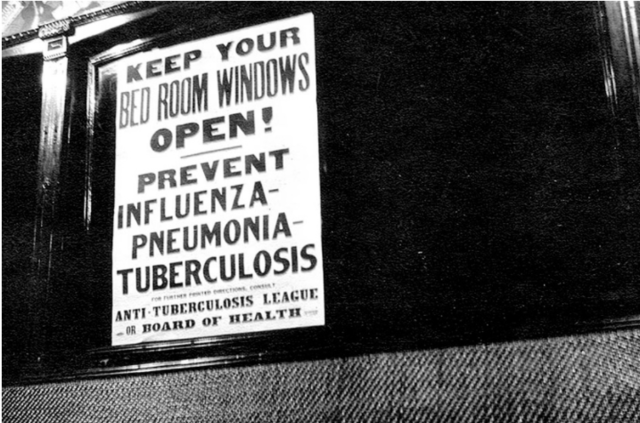 Influenza Epidemic
