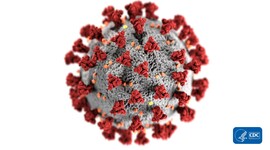 Timeline: Eventos importantes del COVID-19 en Mexico