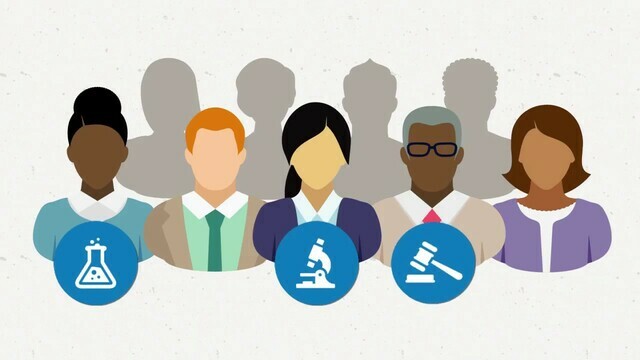 Comité Institucional de revisión