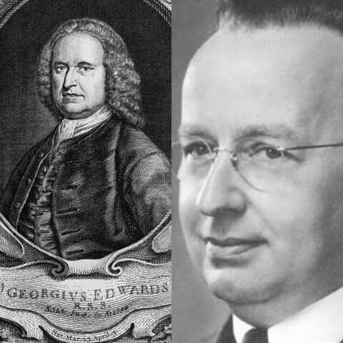 LA TECNOLOGÍA INDUSTRIAL