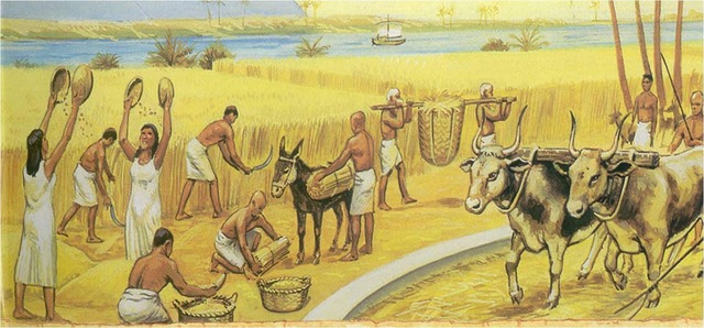 Medición y División Terrestre de Egipto