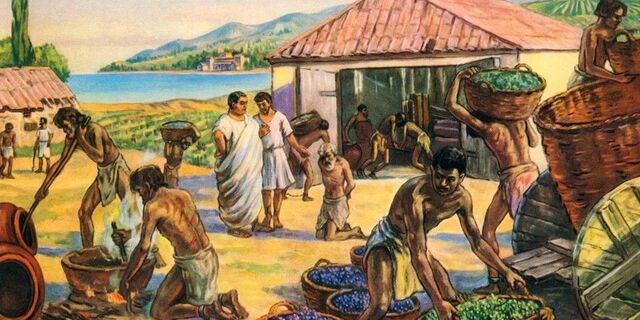 Plinio el viejo 23-79 DC