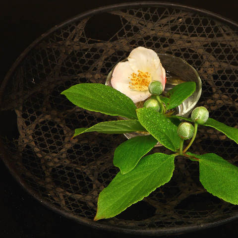 Shinji Shūmeikai timeline Timetoast timelines