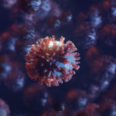 Timeline: Que pasaría si el Covid-19 no desapareciera?