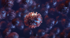 Timeline: Que pasaría si el Covid-19 no desapareciera?