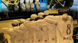 Timeline: The Evolvement