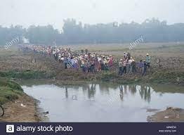 Proyectos asiáticos