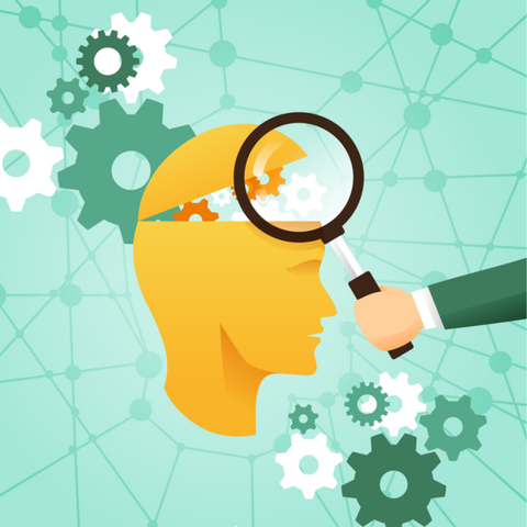 CAMPOS DE APLICACION DE LA PSICOLOGIA SOCIAL