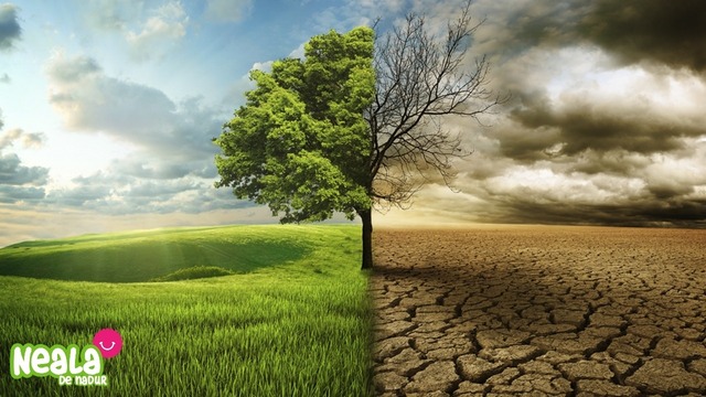 Incremento de (mm) por año