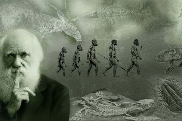TEORÍA DE DARWIN
