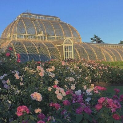 Timeline: Desarrollo Sustentable