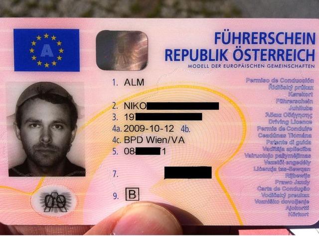 Niko Alm Wears Colander in Driver's License Photo