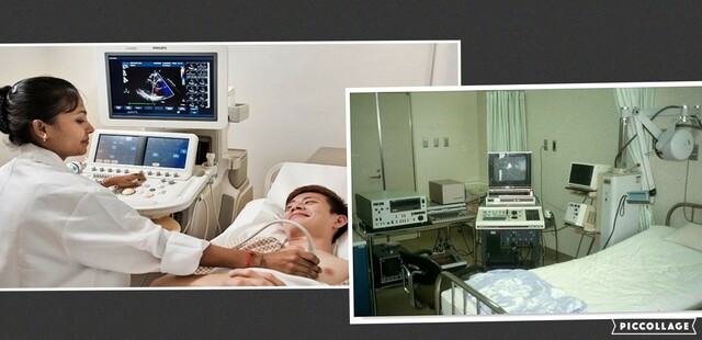 Bedside Echo Becoming Mobile