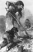 The Irish Potato Famine