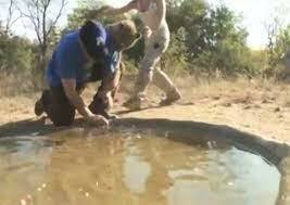 atacado por un guepardo