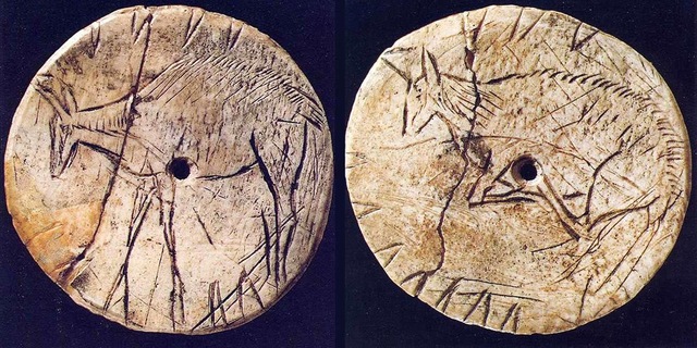 taumotropo