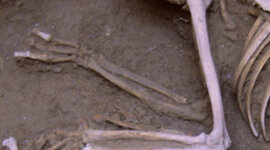 Timeline: CRONOLOGÍA PREHISTÒRIA