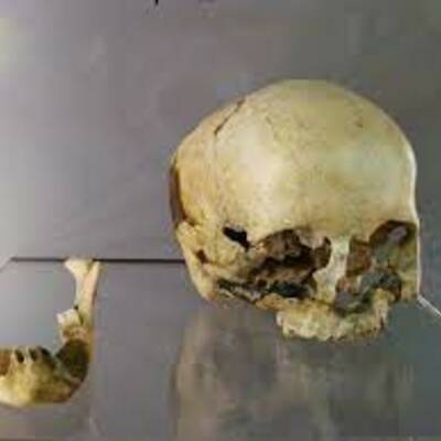 Timeline: La cronologia de la prehistòtia