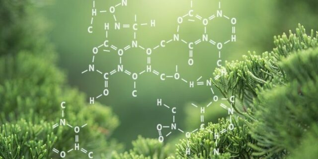 La situación actual