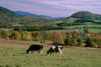 Vermont becomes the 14th state!