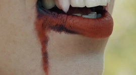 Timeline: Where Its Warm