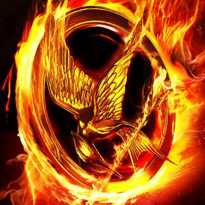 Timeline: Hunger games Plot