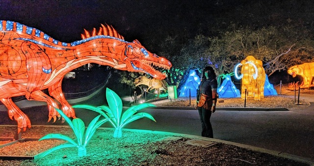 [Personal] Glowfari Outing at Oakland Zoo