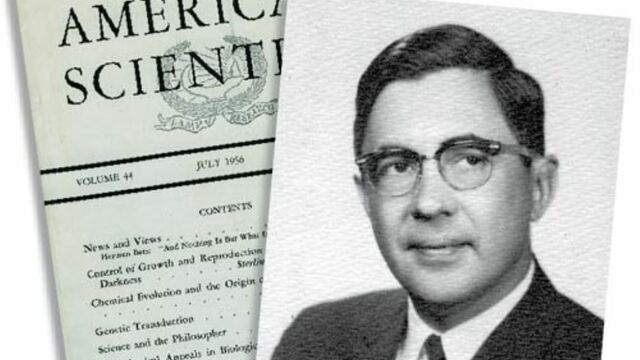 El sobrecalentamiento en la tierra