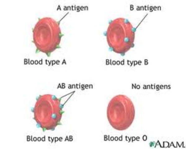Blood Types Identified