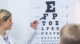 Timeline: Agudeza Visual