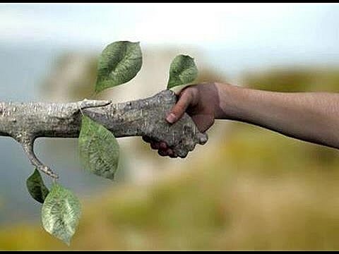 OTRAS NOCIONES AS NOCIONES DE CAUSAS