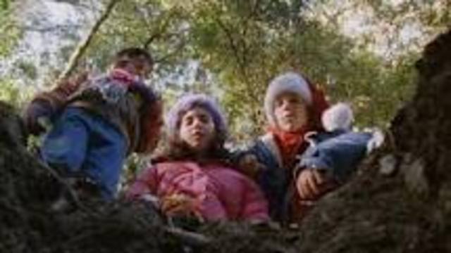 19-65 years old social