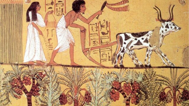 Las Primeras Herramientas para la Producción