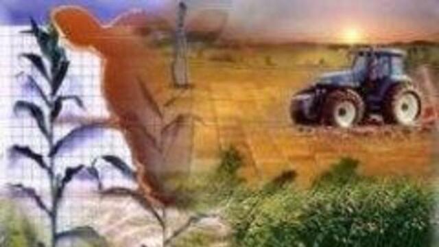 Programa de Apoyo para el Comercio Ejidal