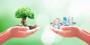 Se establece el programa para Promover el Desarrollo Sustentable