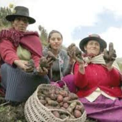 Timeline: Derechos de las Mujeres en las comunidades Campesinas