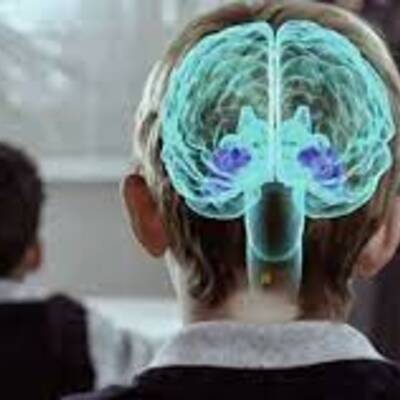 Timeline: Línea del tiempo de los principales acontecimientos de las neurociencias