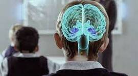 Timeline: Línea del tiempo de los principales acontecimientos de las neurociencias