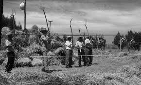 Surge la Organizacion