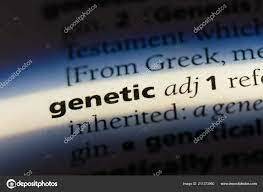 PALABRA GENÉTICA