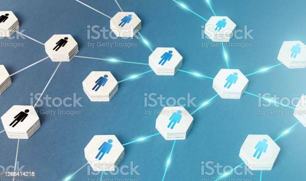 Project introductory  and dissemination works