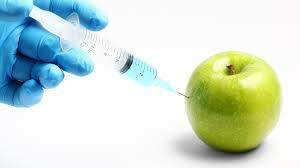 TRANSICIÓN GENÉTICA