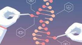 Timeline: HISTORIA DE LA GENÉTICA